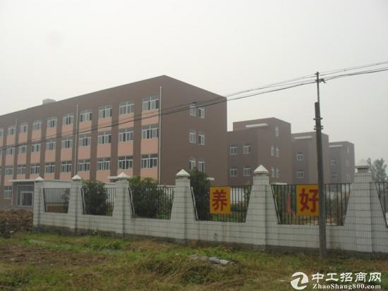 惠州产业示范区全新标准化厂房出租