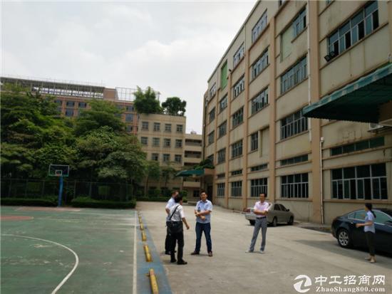 深圳龙岗建筑面积2244.7国有建筑物转让