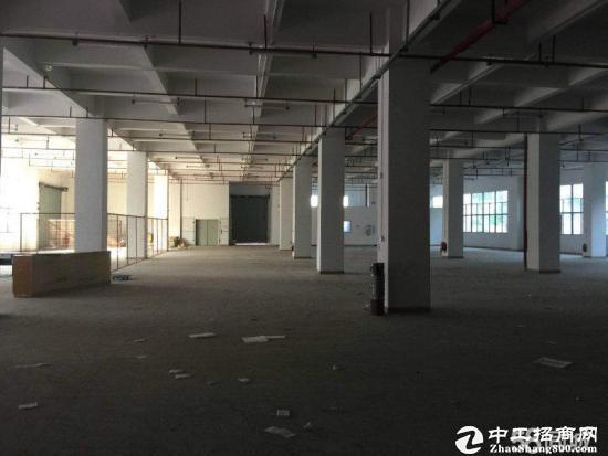 靠近深圳原房东自建厂房1-5层10000平米可分租