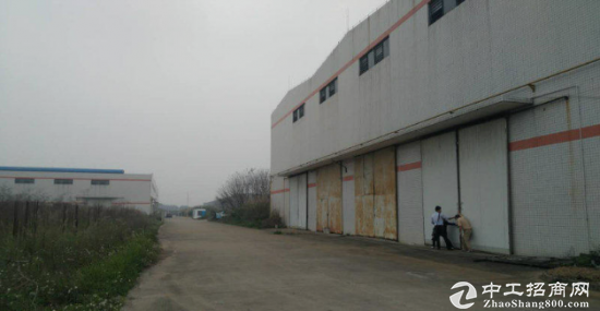 福永凤凰工业区标准厂房一楼2100平形象好招工易原房东出租