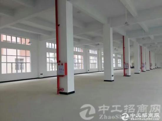 茶山镇原房东带红本厂房 厂房1-5层9800平方