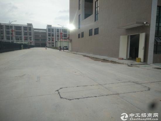 新圩离深圳2公里全新标准楼上4000平米厂房出租