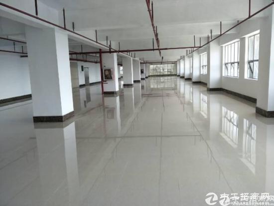 布吉丹竹头标准厂房一二三楼每层，1800平米厂房可做服装 仓库出租