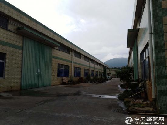 惠阳三和经济区钢构厂房3700平方行业不限原房东