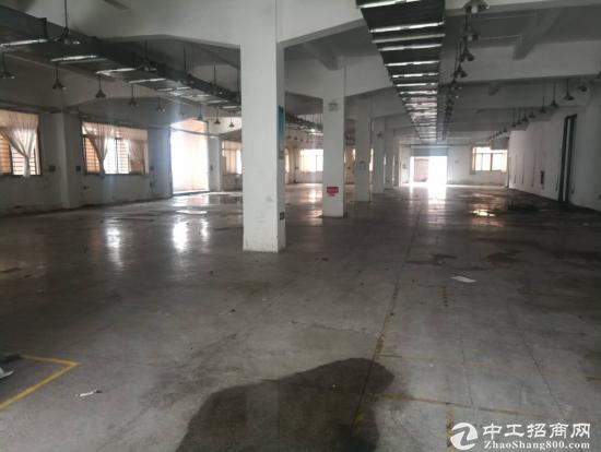 长安镇锦厦一楼930平方，可以做仓库