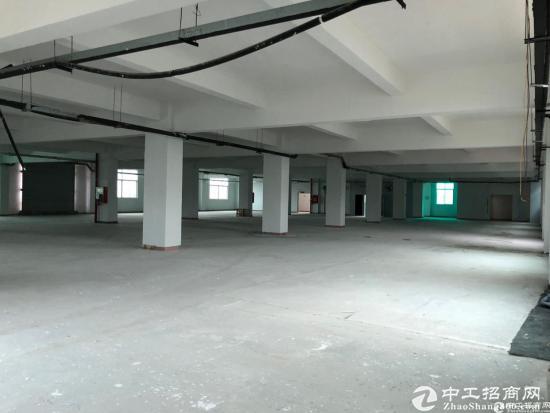 石岩台湾工业区楼上整层1500平招租可做仓库红本