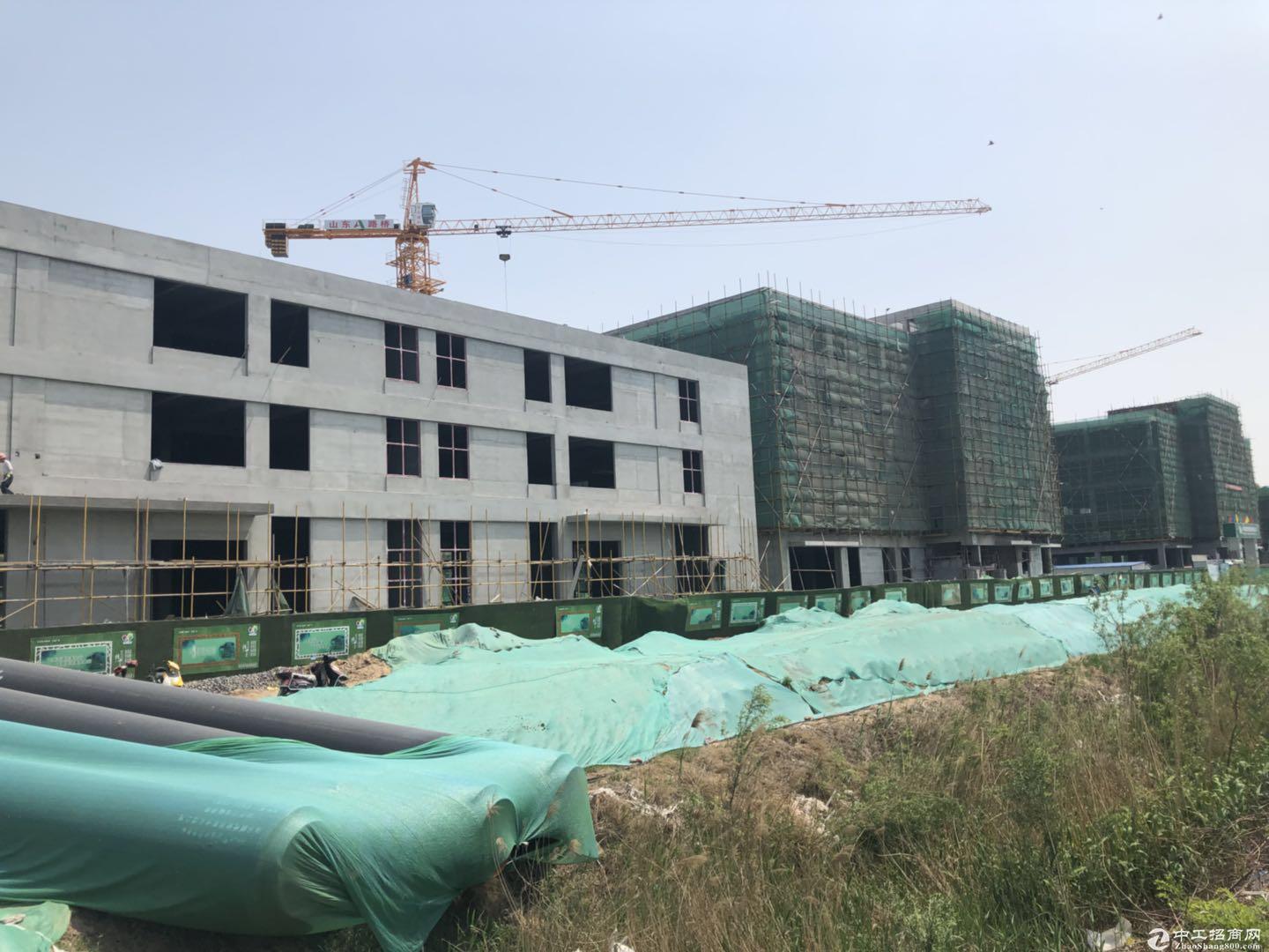 中南高科 标准厂房出售 工业用地 市重点项目 1100平独栋