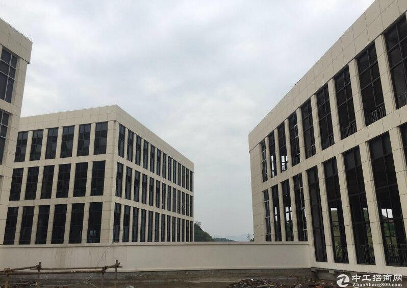 九龙坡高速出口 1500平独栋厂房出售