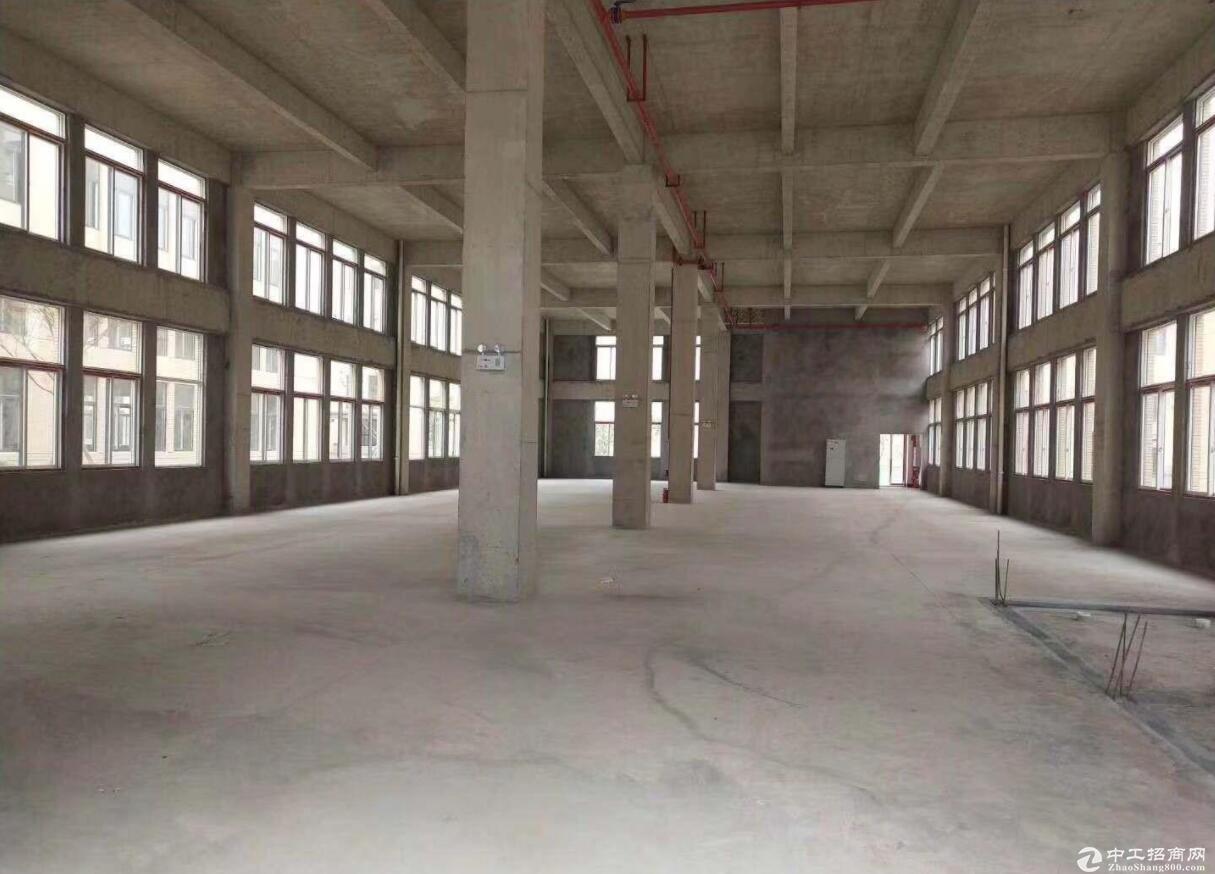 江津食品产业园1.5万平方厂房出售，2000平起