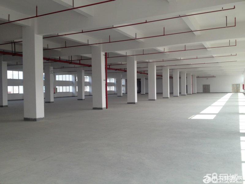 东阜路边全新高端红本厂房10500平方出租、可分租