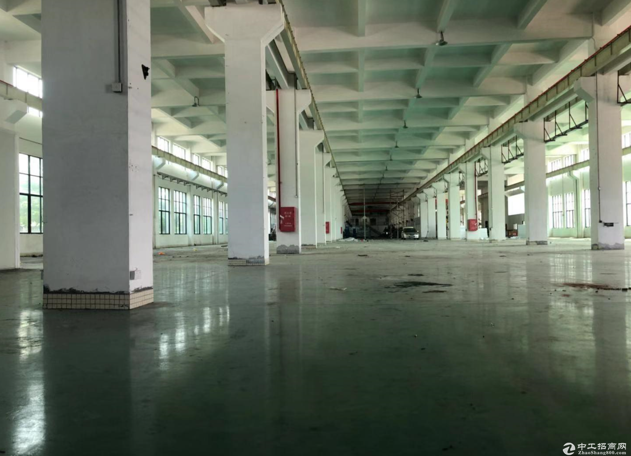 东升裕民标准一楼高8米2000方厂房仓库出租