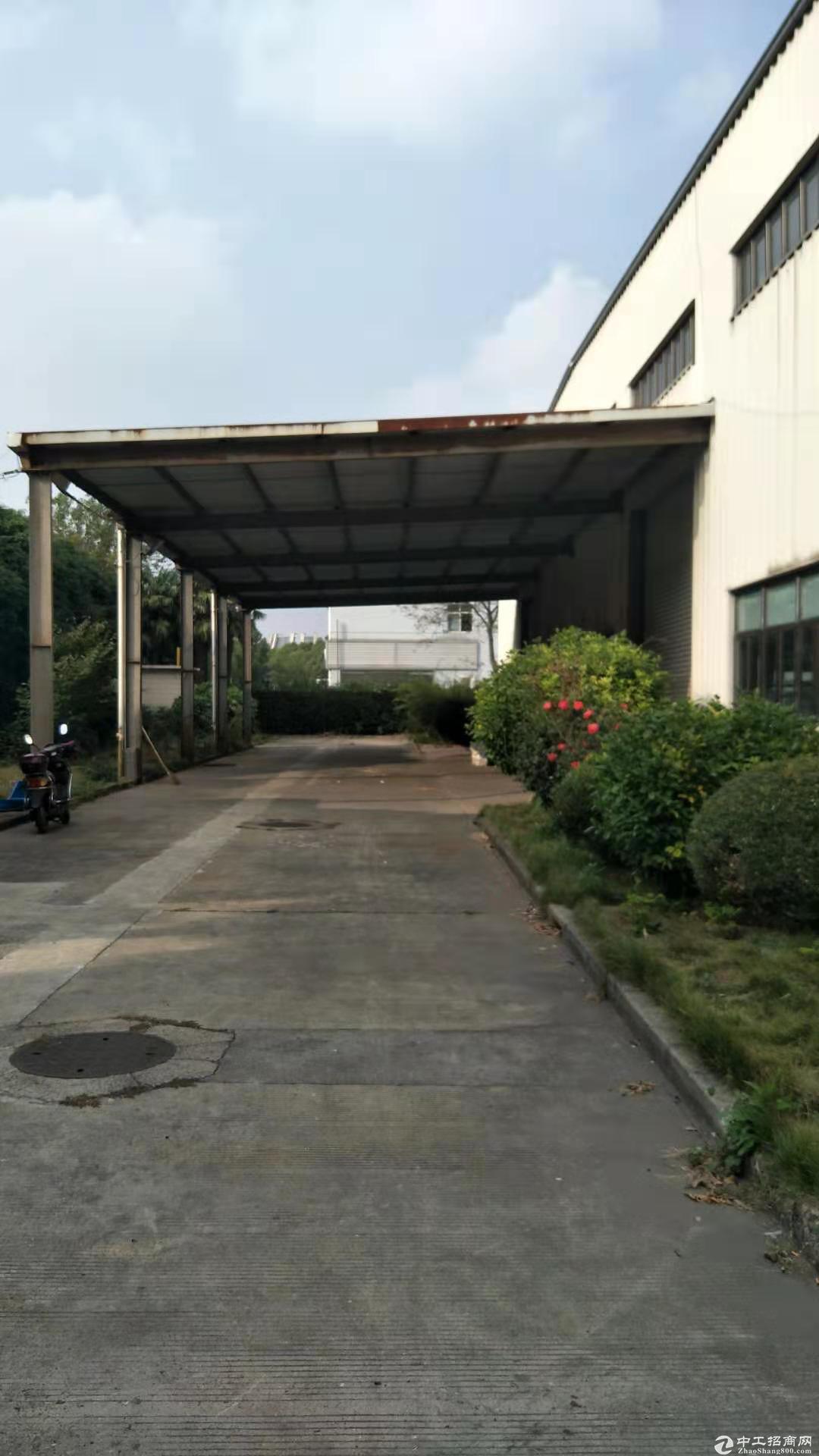 唐镇工业园单层厂房仓库864平，层高9米，大通间，中间无立柱