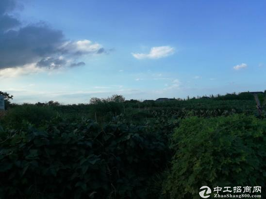 蒲江县新能源产业基地土地出售手续齐落地快政策多