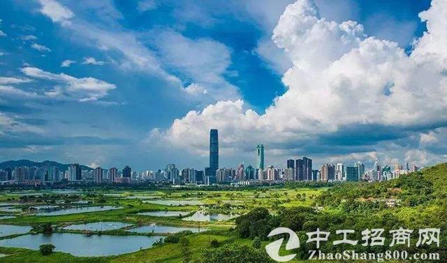 深圳大鹏新区：三年释放土地面积141万平方米