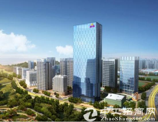 深圳龙岗大运新城668米地标旁300㎡-10万㎡写字楼出售