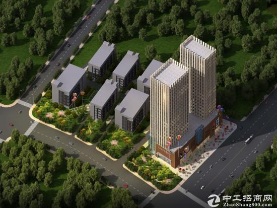 武汉市东西湖区50000平方米写字楼、商场、公寓分割租/售