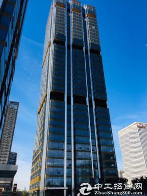 亦庄第壹高楼、超五A品质、170平~2000平、紧邻地铁