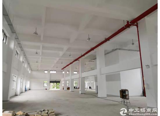 张江医疗器械园104地块独门独院独幢4578平