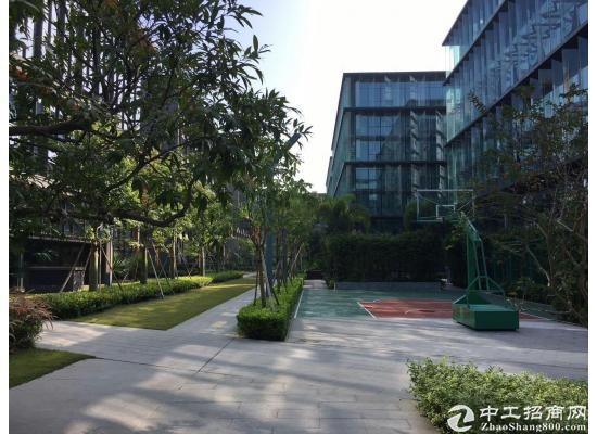 深圳开发商独立红本写字楼自由办公室300平出售