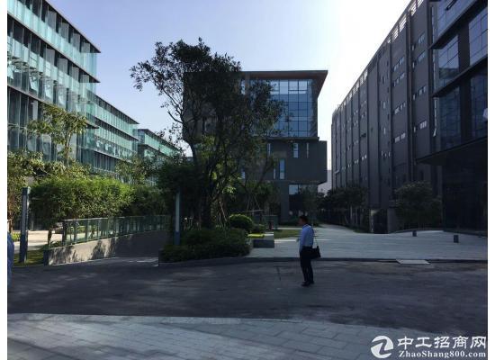 深圳开发商独立红本写字楼自由办公室300平出售