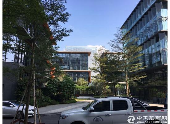 深圳开发商独立红本写字楼自由办公室300平出售2