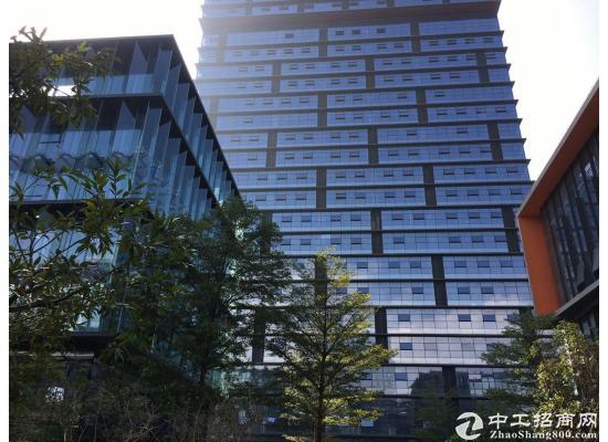 深圳开发商独立红本写字楼自由办公室300平出售6