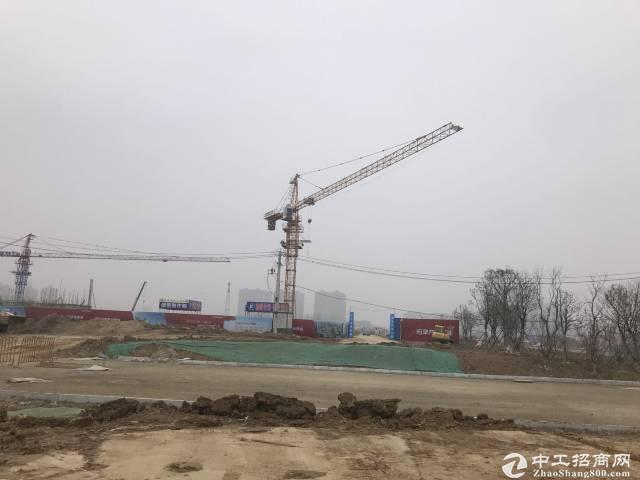 广东省江门新会区沙堆镇梅北村60亩工业地出售1