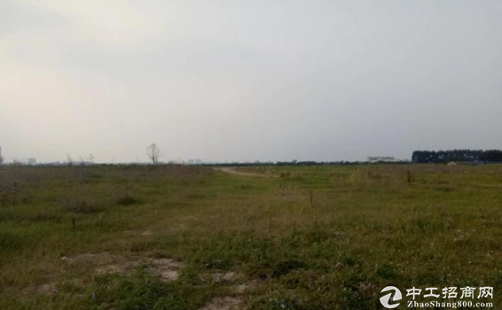 江门高新区工业土地40亩