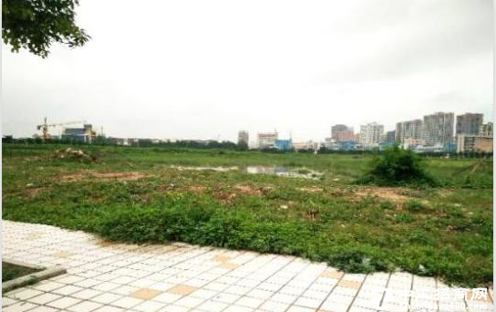 惠州市 惠阳区周边50亩地皮转让 证件齐全，三通一平,可建厂