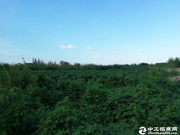 惠州惠阳区60亩国有土地出售2