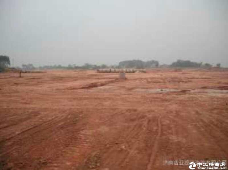 惠州惠阳市国有土地出售300亩可分租，有工业红本