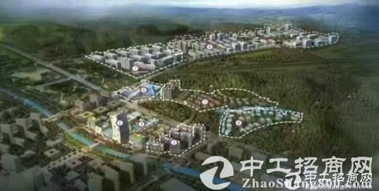 江门国有工业用地出售50亩优选行业龙头项目土地