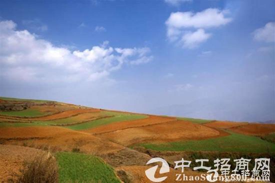 深圳周边出售国有红本地皮35亩