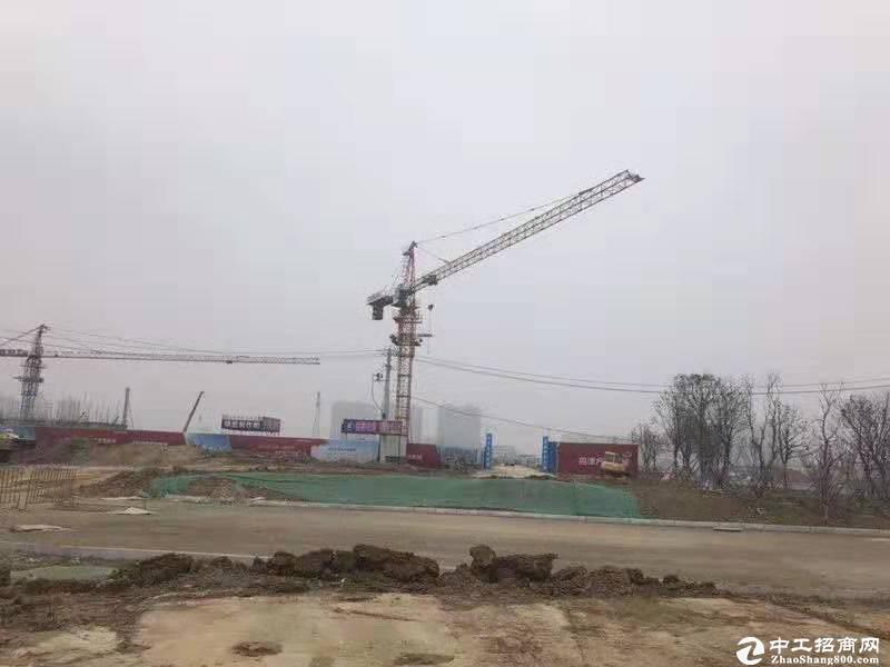 深圳周边红本工业用地出售50亩，手续齐全，国有产权，可分割