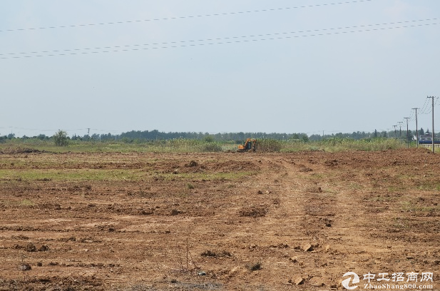 惠州镇隆国有红本土地100亩出售，可分20起出售