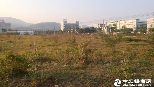 惠州惠东县国有工业用地1000亩出售 50亩起分割4