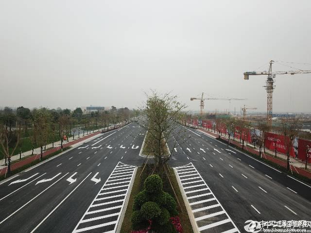 惠州惠东县国有工业用地1000亩出售 50亩起分割2