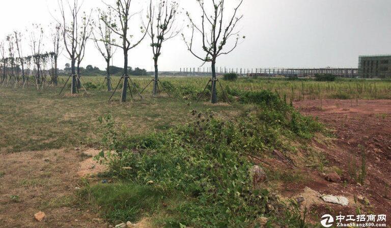 河南省新乡 新出国有工业用地出售50亩 可分割