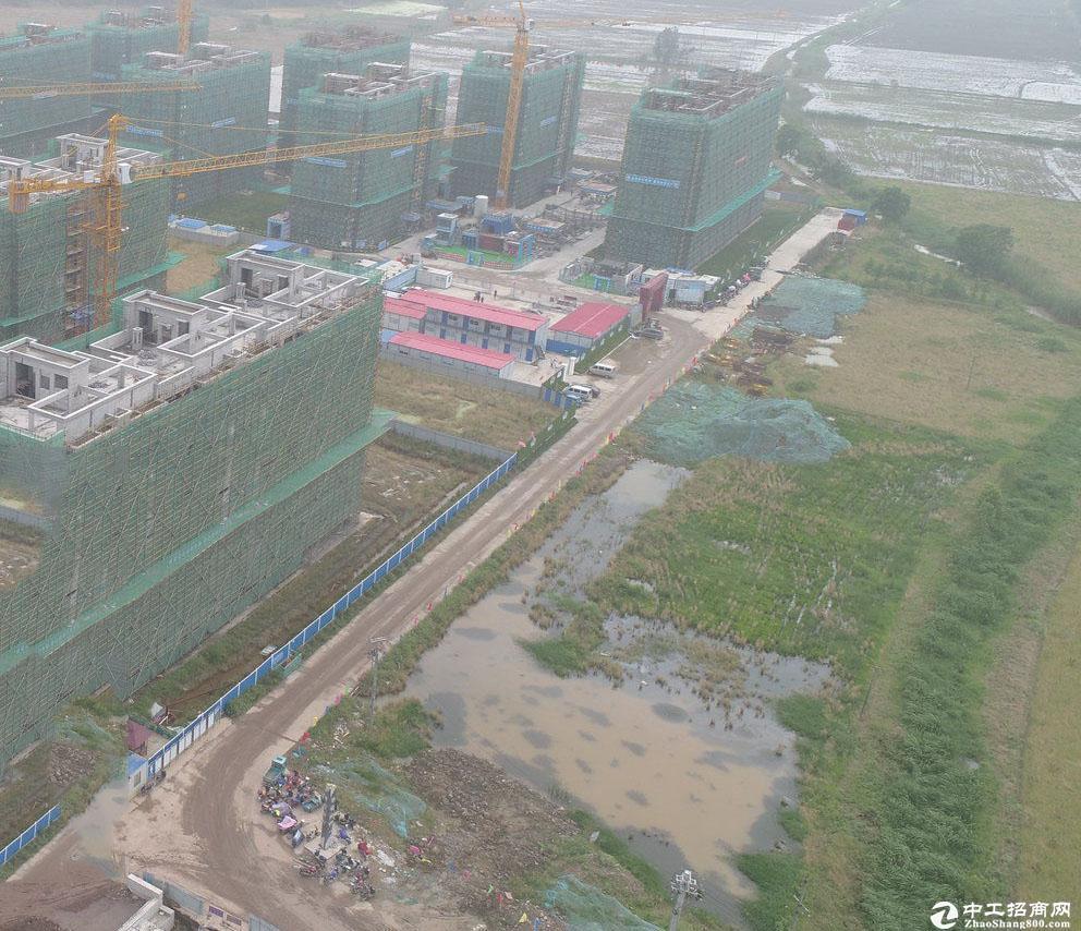 阳江-江门土地出售，工业性质，可建厂房