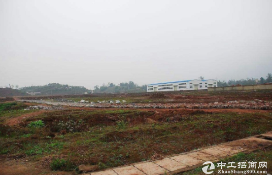 湖北武汉新洲问津国有工业土地20亩起售，政府招商