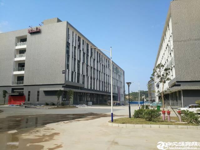 深圳龙岗地区占地56亩工业用地建筑面积99534.80平方出售