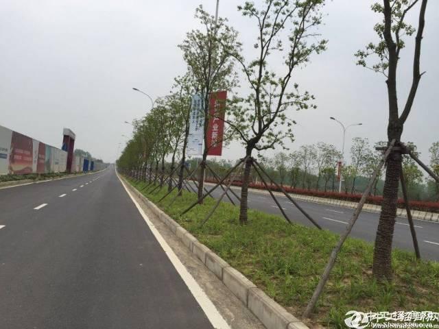 广东阳江国有证工业土地110亩出售，政府补贴更多，价格优惠