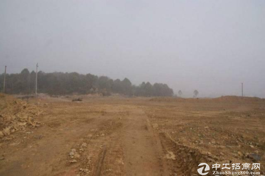 湖北省武汉新洲120亩国有工业地皮出售政府招商引资