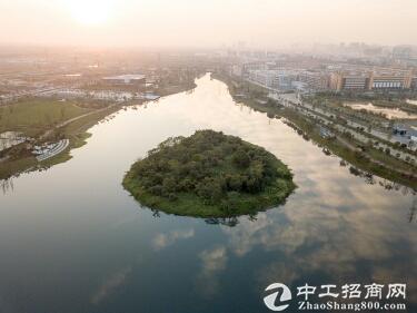 湖北武汉新洲工业地皮20000亩出售政府招商引资政策优惠